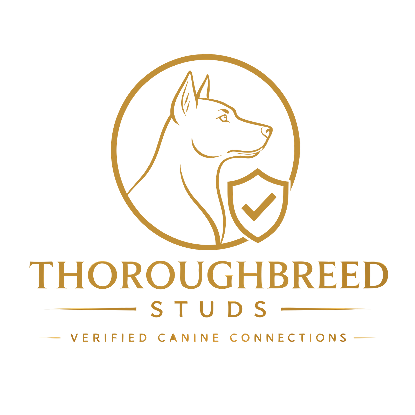 ThoroughBreed Studs